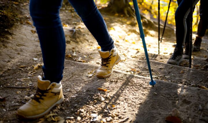 Salomon – co to za firma i czym wyróżnia się na tle konkurencji?