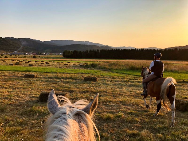 jeździectwo na otwartym dzikim terenie