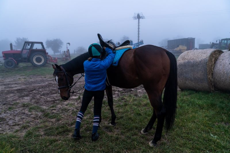 zakładanie siodła do jazdy konnej