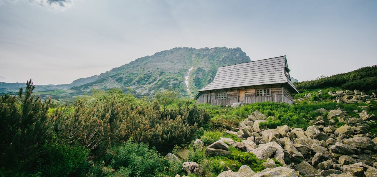 Aktywne wakacje dla dzieci – jakie atrakcje czekają na uczestników kolonii w górach?