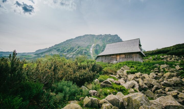 Aktywne wakacje dla dzieci – jakie atrakcje czekają na uczestników kolonii w górach?